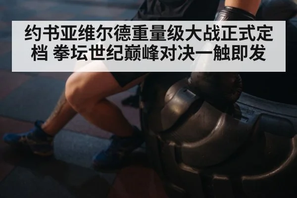 约书亚维尔德重量级大战正式定档 拳坛世纪巅峰对决一触即发